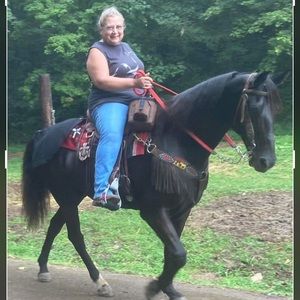 Meet your Posher, Joyce